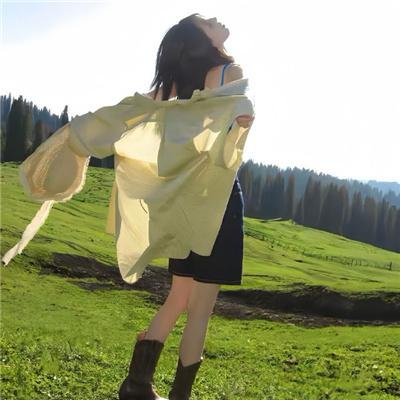 冰上动物宝宝